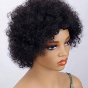 Afro - Perruque
